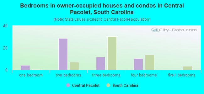 Bedrooms in owner-occupied houses and condos in Central Pacolet, South Carolina