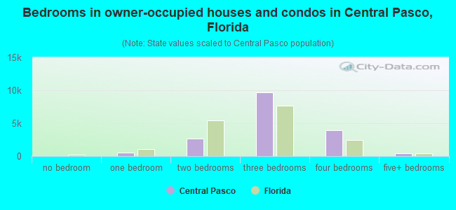 Bedrooms in owner-occupied houses and condos in Central Pasco, Florida