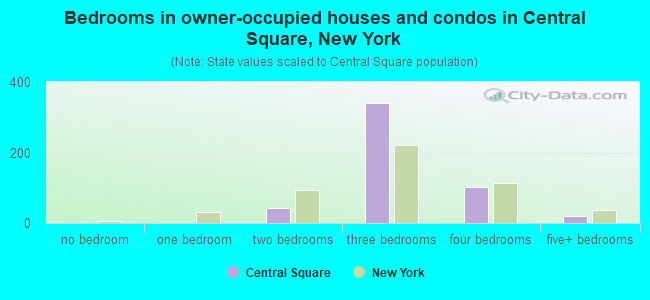 Bedrooms in owner-occupied houses and condos in Central Square, New York