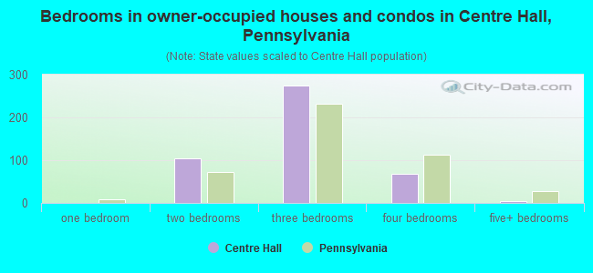 Bedrooms in owner-occupied houses and condos in Centre Hall, Pennsylvania