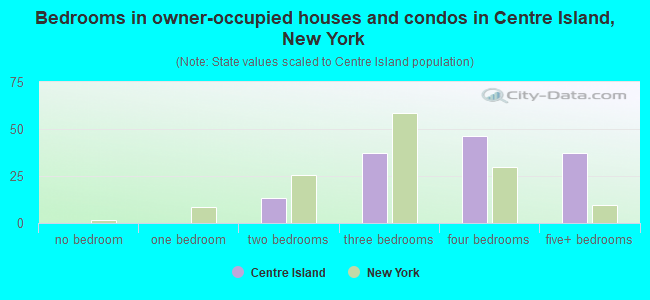 Bedrooms in owner-occupied houses and condos in Centre Island, New York