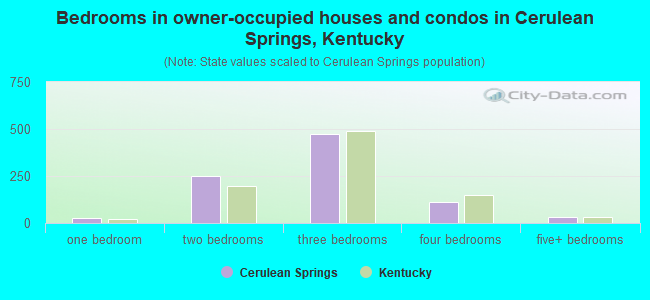 Bedrooms in owner-occupied houses and condos in Cerulean Springs, Kentucky