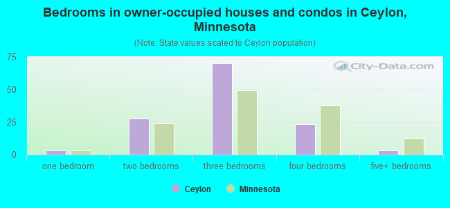 Bedrooms in owner-occupied houses and condos in Ceylon, Minnesota