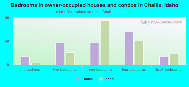 Bedrooms in owner-occupied houses and condos in Challis, Idaho