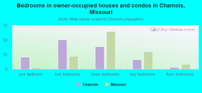 Bedrooms in owner-occupied houses and condos in Chamois, Missouri