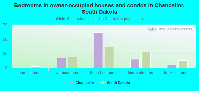 Bedrooms in owner-occupied houses and condos in Chancellor, South Dakota