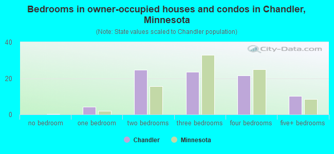 Bedrooms in owner-occupied houses and condos in Chandler, Minnesota