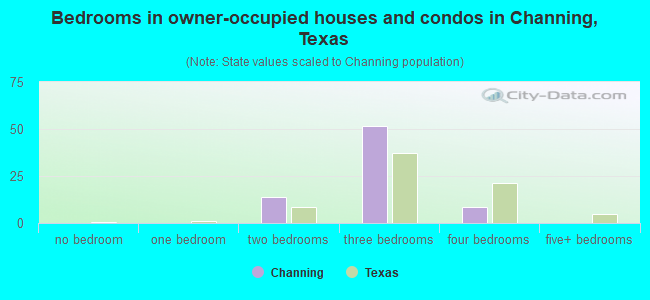 Bedrooms in owner-occupied houses and condos in Channing, Texas
