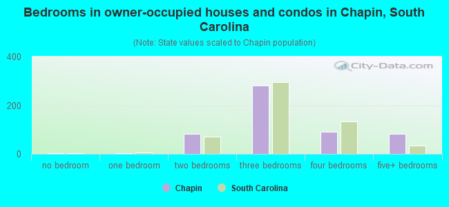 Bedrooms in owner-occupied houses and condos in Chapin, South Carolina