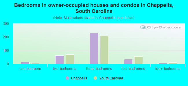 Bedrooms in owner-occupied houses and condos in Chappells, South Carolina