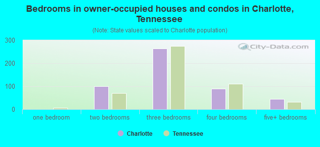 Bedrooms in owner-occupied houses and condos in Charlotte, Tennessee