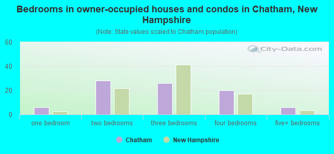 Bedrooms in owner-occupied houses and condos in Chatham, New Hampshire