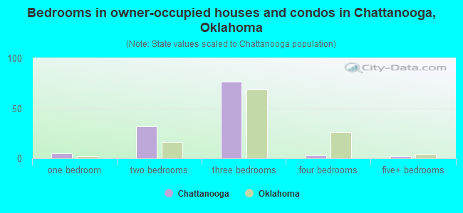 Bedrooms in owner-occupied houses and condos in Chattanooga, Oklahoma