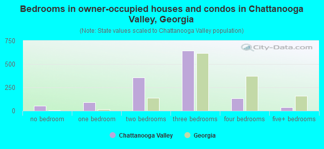 Bedrooms in owner-occupied houses and condos in Chattanooga Valley, Georgia