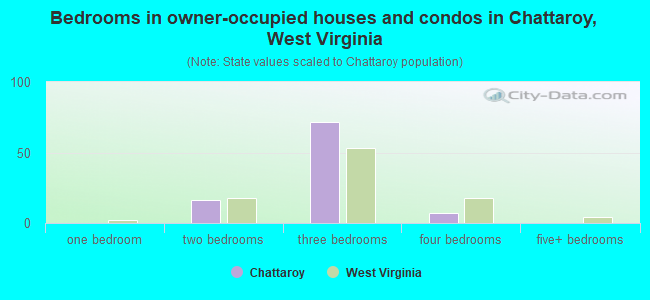 Bedrooms in owner-occupied houses and condos in Chattaroy, West Virginia