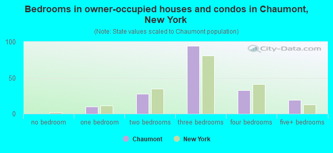 Bedrooms in owner-occupied houses and condos in Chaumont, New York