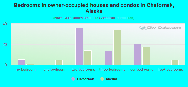 Bedrooms in owner-occupied houses and condos in Chefornak, Alaska