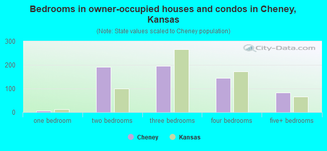 Bedrooms in owner-occupied houses and condos in Cheney, Kansas