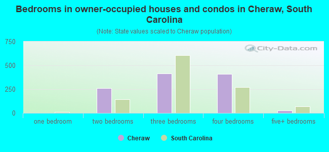 Bedrooms in owner-occupied houses and condos in Cheraw, South Carolina