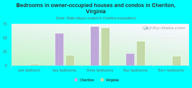 Bedrooms in owner-occupied houses and condos in Cheriton, Virginia