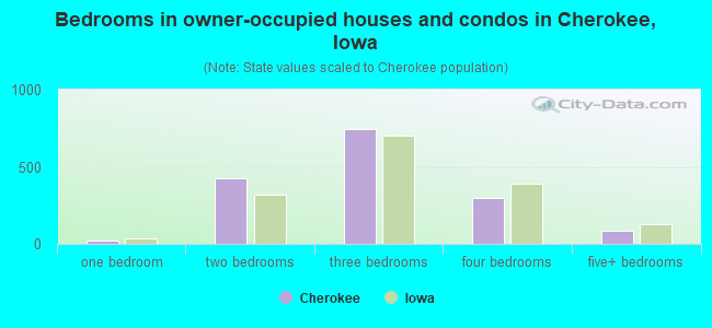 Bedrooms in owner-occupied houses and condos in Cherokee, Iowa