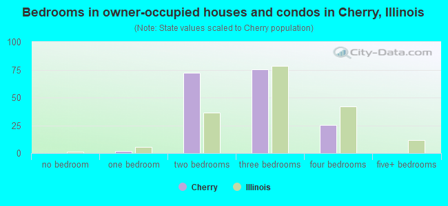 Bedrooms in owner-occupied houses and condos in Cherry, Illinois