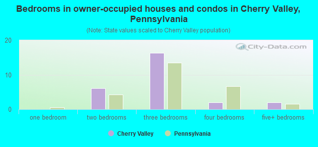 Bedrooms in owner-occupied houses and condos in Cherry Valley, Pennsylvania