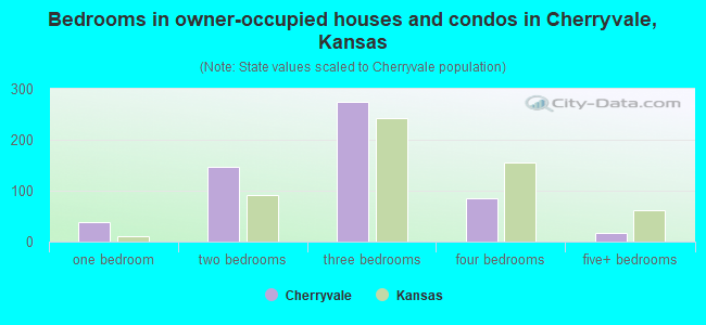 Bedrooms in owner-occupied houses and condos in Cherryvale, Kansas
