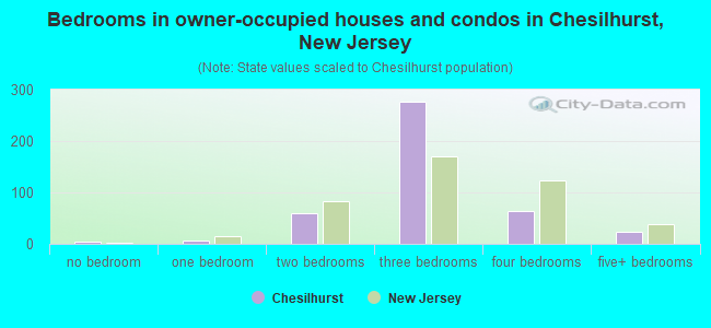 Bedrooms in owner-occupied houses and condos in Chesilhurst, New Jersey