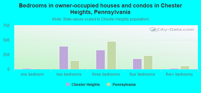 Bedrooms in owner-occupied houses and condos in Chester Heights, Pennsylvania