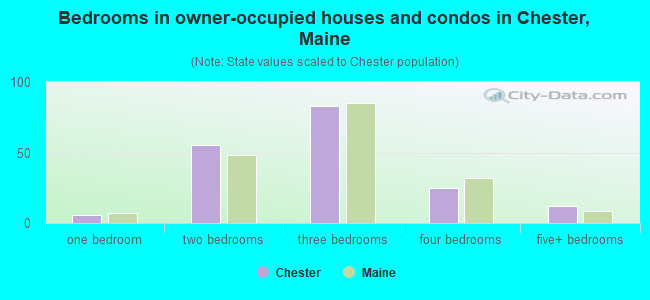 Bedrooms in owner-occupied houses and condos in Chester, Maine