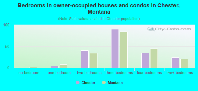 Bedrooms in owner-occupied houses and condos in Chester, Montana