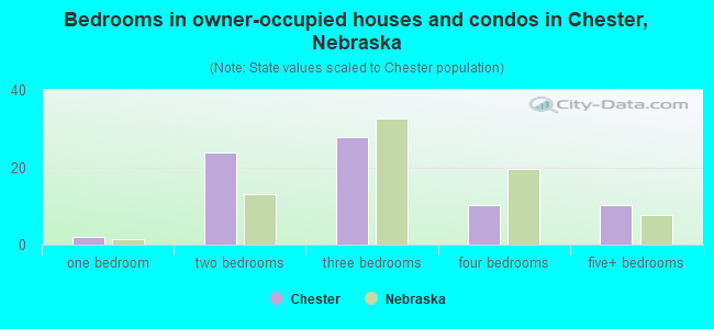 Bedrooms in owner-occupied houses and condos in Chester, Nebraska