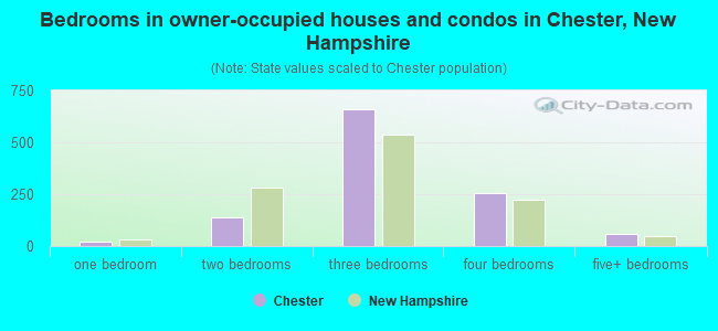 Bedrooms in owner-occupied houses and condos in Chester, New Hampshire
