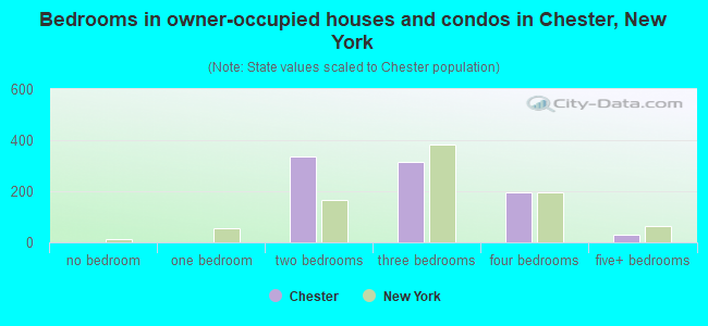 Bedrooms in owner-occupied houses and condos in Chester, New York