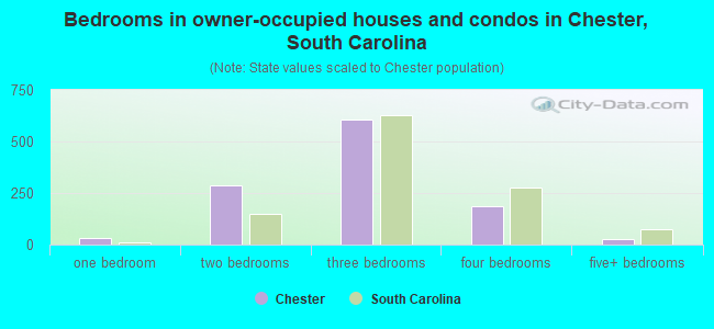 Bedrooms in owner-occupied houses and condos in Chester, South Carolina