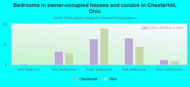 Bedrooms in owner-occupied houses and condos in Chesterhill, Ohio