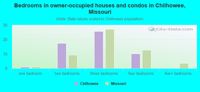 Bedrooms in owner-occupied houses and condos in Chilhowee, Missouri