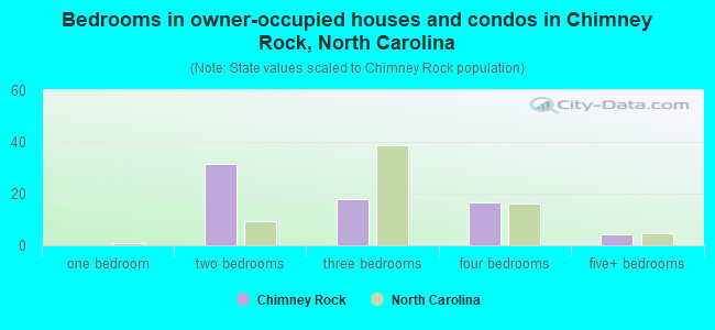 Bedrooms in owner-occupied houses and condos in Chimney Rock, North Carolina