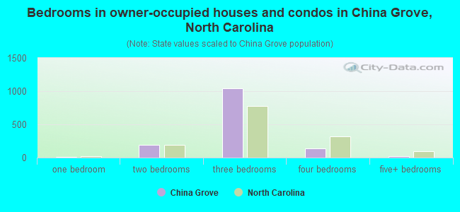 Bedrooms in owner-occupied houses and condos in China Grove, North Carolina