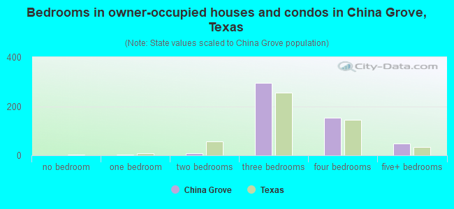 Bedrooms in owner-occupied houses and condos in China Grove, Texas