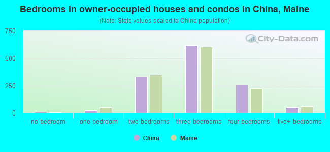 Bedrooms in owner-occupied houses and condos in China, Maine