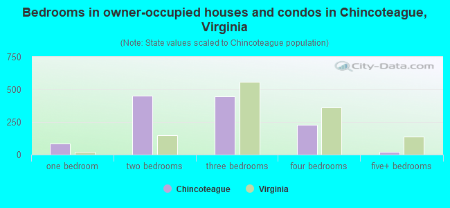 Bedrooms in owner-occupied houses and condos in Chincoteague, Virginia