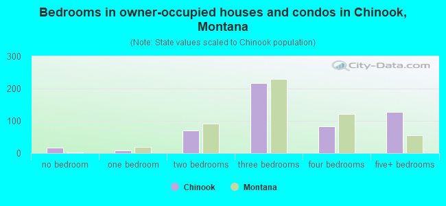 Bedrooms in owner-occupied houses and condos in Chinook, Montana