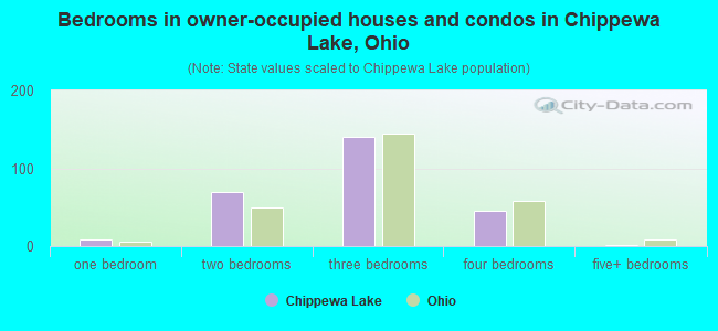 Bedrooms in owner-occupied houses and condos in Chippewa Lake, Ohio
