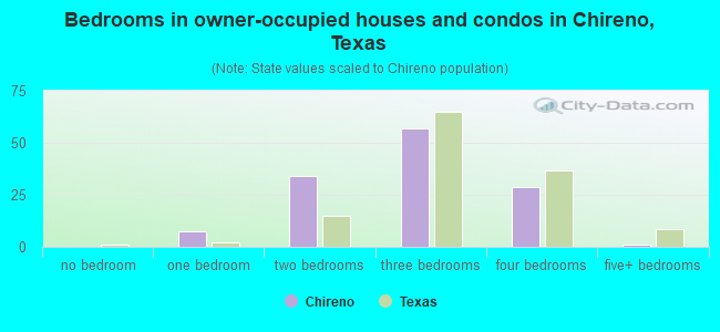 Bedrooms in owner-occupied houses and condos in Chireno, Texas