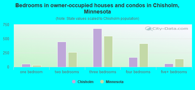 Bedrooms in owner-occupied houses and condos in Chisholm, Minnesota