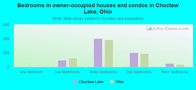 Bedrooms in owner-occupied houses and condos in Choctaw Lake, Ohio