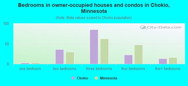 Bedrooms in owner-occupied houses and condos in Chokio, Minnesota