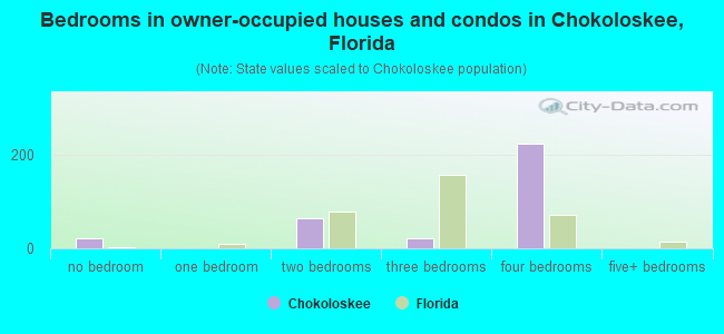 Bedrooms in owner-occupied houses and condos in Chokoloskee, Florida